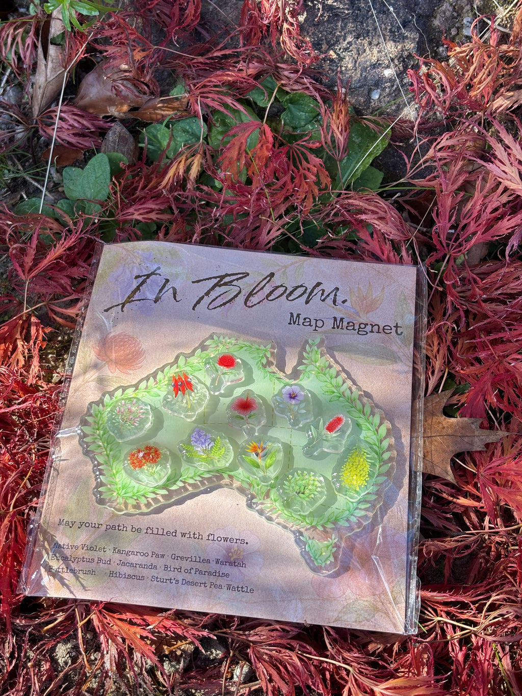 Australia PLANT map - FRIDGE MAGNET