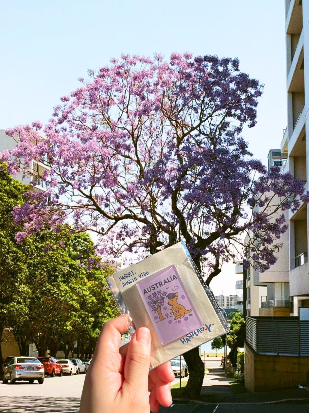 Aussie Vibe - Graduate Kangaroo and Jacaranda